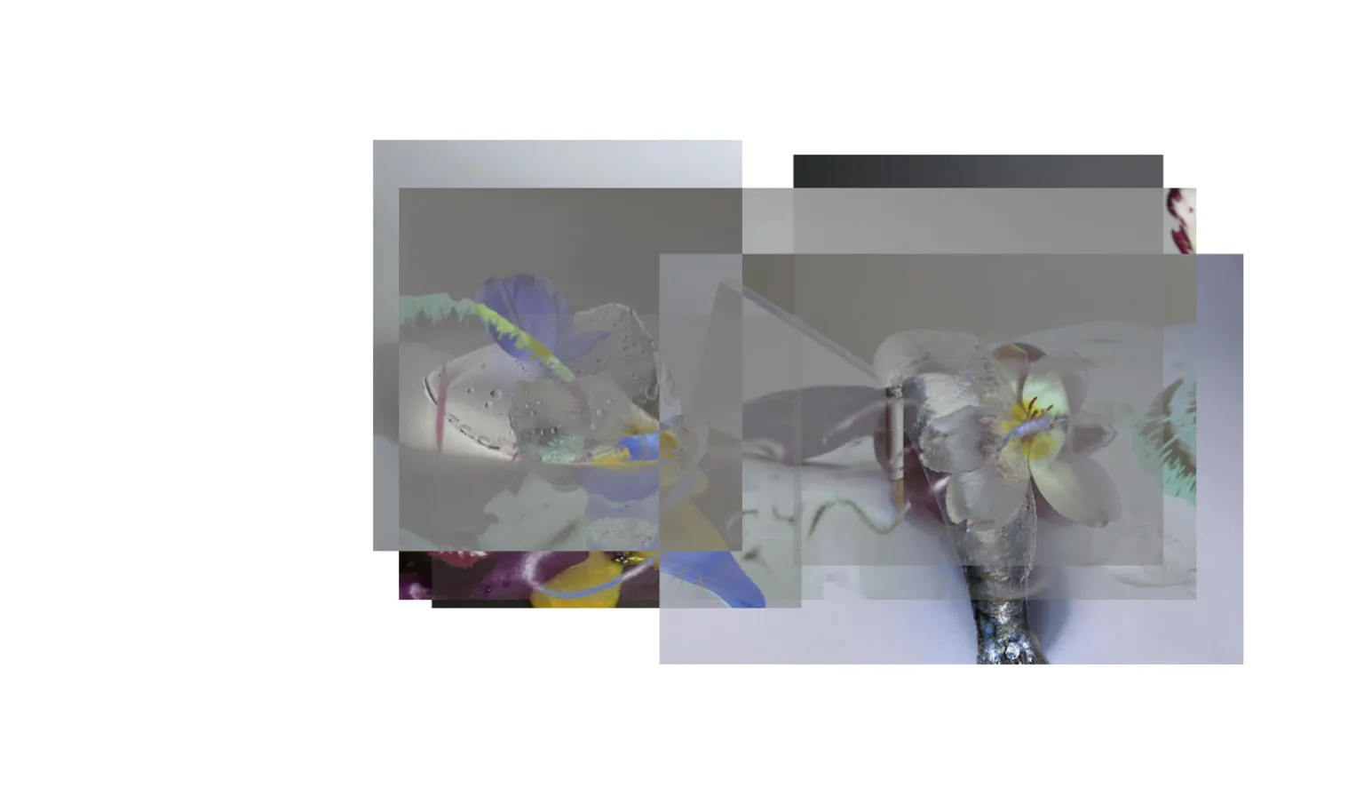 Zweiter Stapel von stilllifearchive Fotografien mit einem Ausschluss-Überblendmodus-Effekt