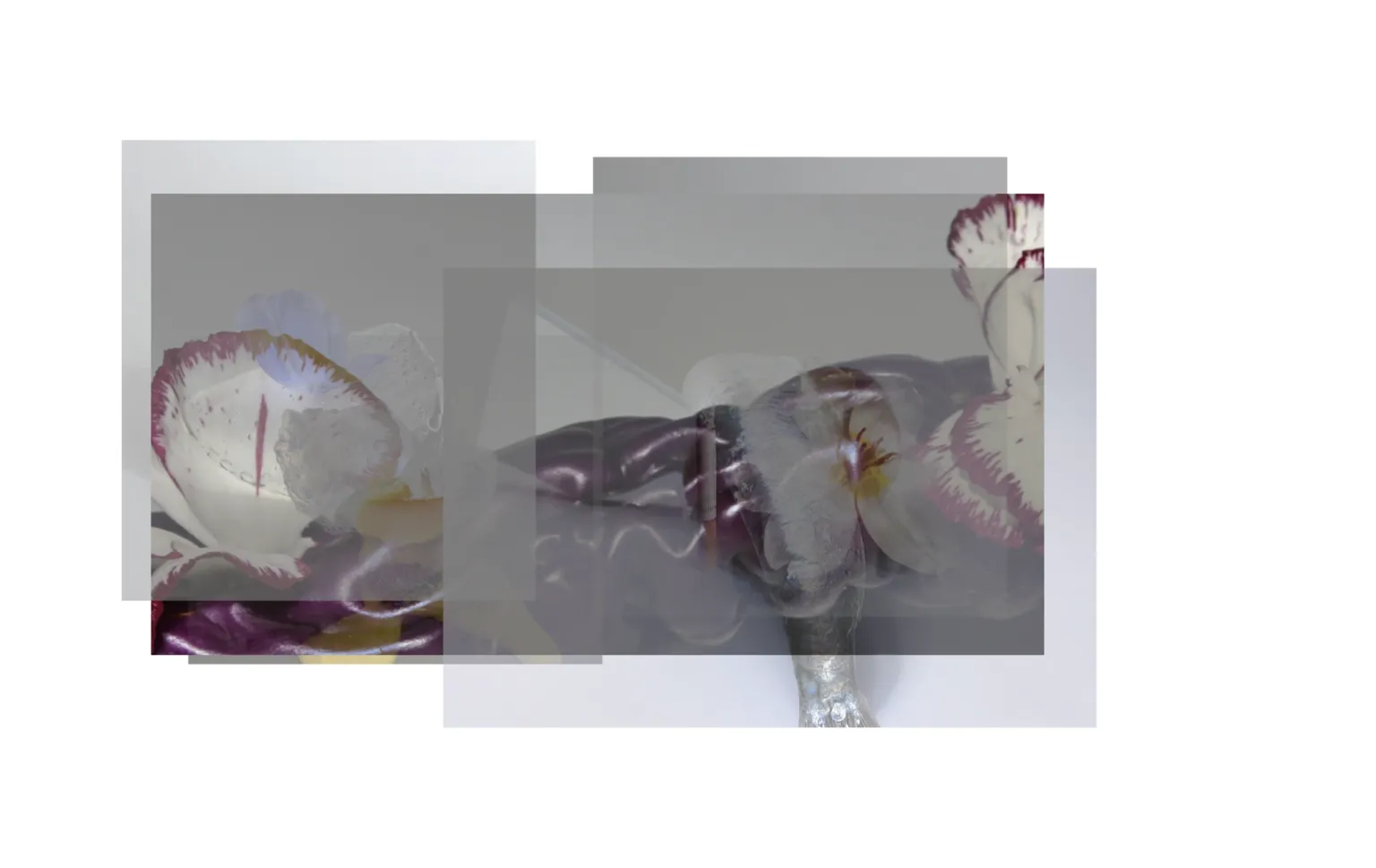 Erster Stapel von stilllifearchive Fotografien mit einem Ausschluss-Überblendmodus-Effekt